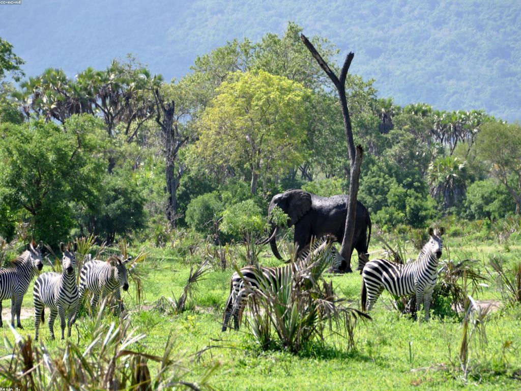 របៀបបង្កើតរឿងនិទានហ្គេមដែលគួរឱ្យចាប់អារម្មណ៍