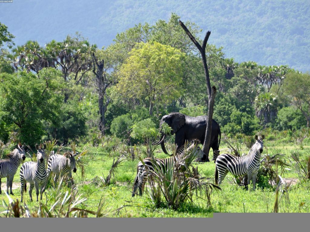 របៀបបង្កើតនិទានហ្គេមដ៏អស្ចារ្យ