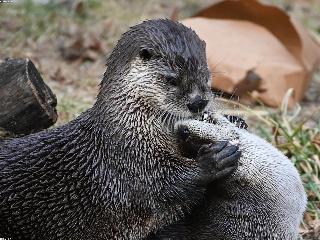 យុទ្ធសាស្ត្រលេង: ការបង្កើតស្វែងយល់ក្នុងការលេង